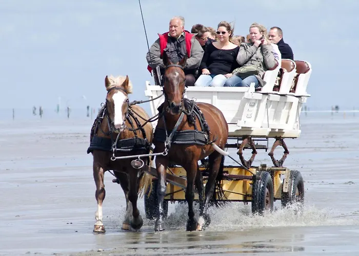 公寓 Strandnahe Haus Sonneneck 1 *